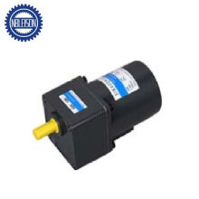 40W High Torque 110V 220V AC Reversible Gear Motor